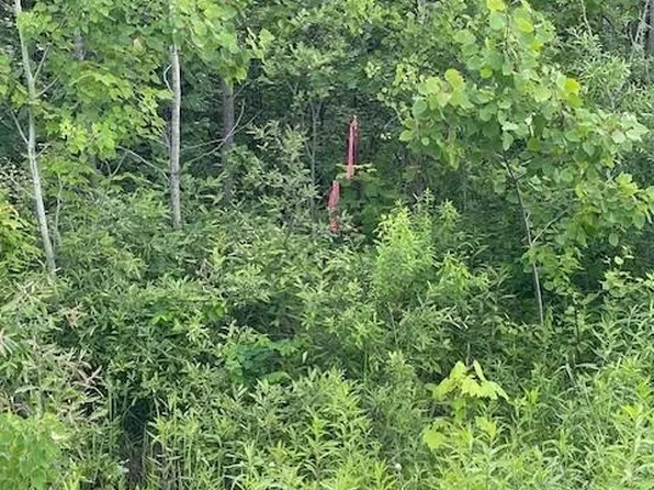 PARCEL Fox Rd #I, Hinckley, MN 55037