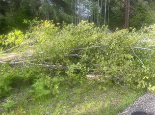 99945 Thomas St, Forks, WA 98331