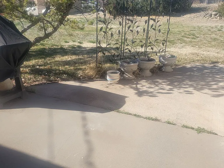 2636 Hickory Dr — Photo 17