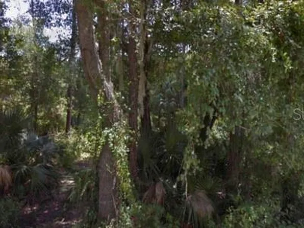 2241 Estes Dr #1, Geneva, FL 32732