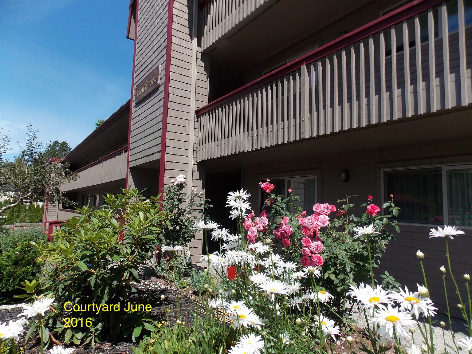 Glen Grove — Photo 3