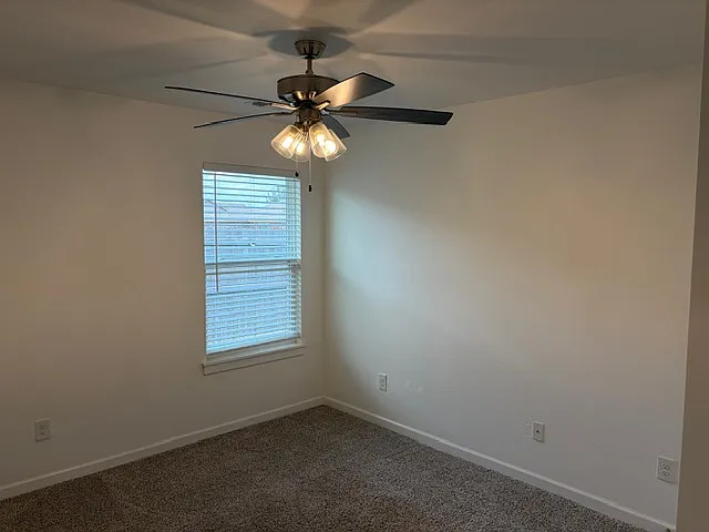 604 Caladium Dr — Photo 22
