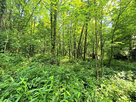 5th image of 9026-1 Gregg Rd
