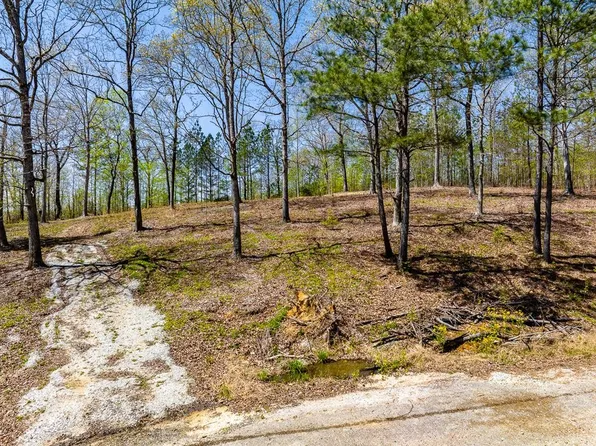 0 Peregrine Pl Lot 46, Cedar Grove, TN 38321