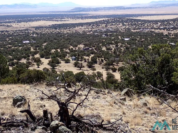 Xx Tanglewood Cir, Datil, NM 87821