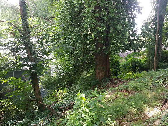 5th image of 359 Fairview Dr