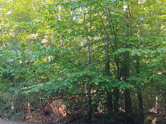 4th image of TRACT Cove Side Ln #G