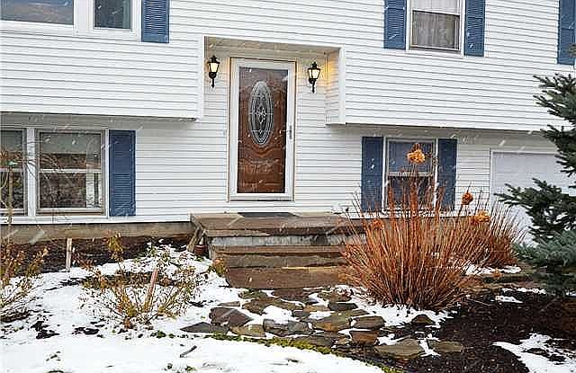1st image of 1261 Paddy Ln