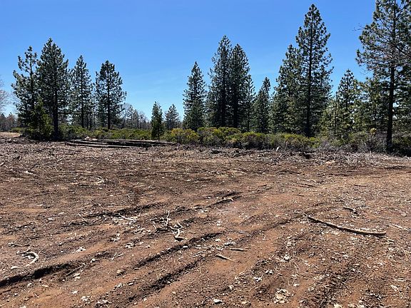 2nd image of B Foresthill Road