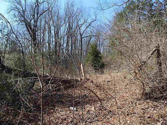 3rd image of 162 Manus Rd