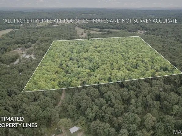 10188 Cannon Holler Rd, Potosi, MO 63664