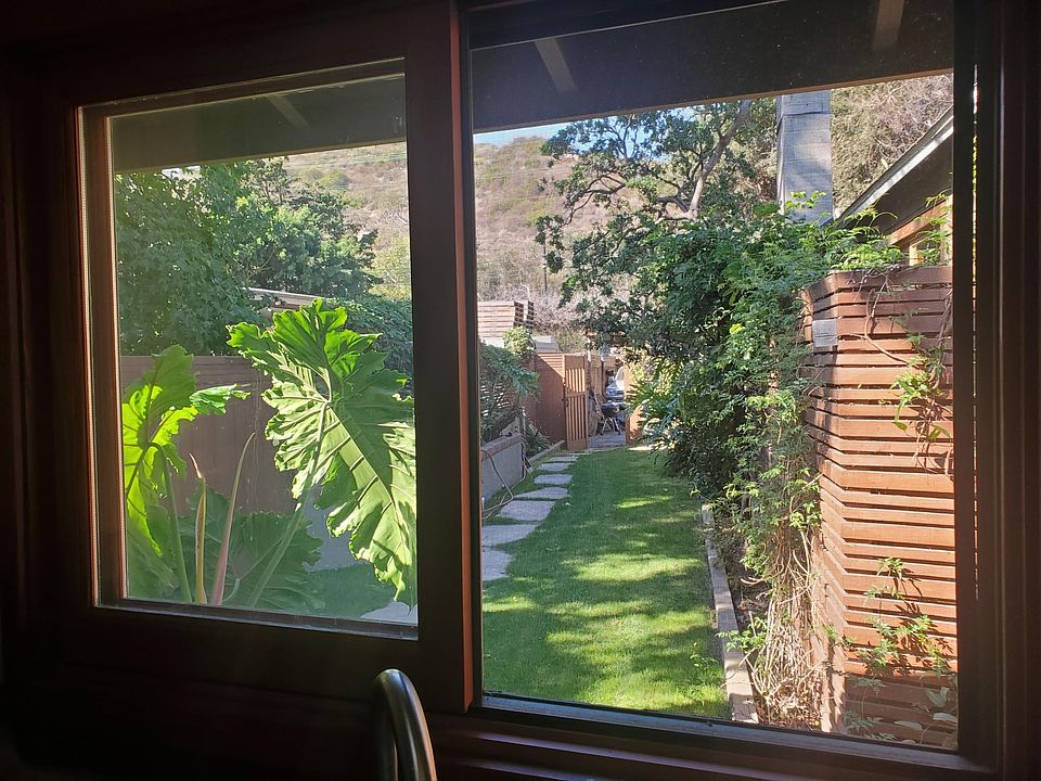 View out of kitchen window to front yard