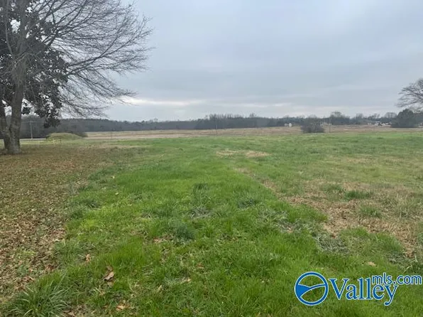 TRACT 8 State Highway 99, Elkmont, AL 35620