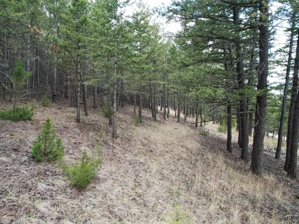 291 S Hills Rd, Clancy, MT 59634