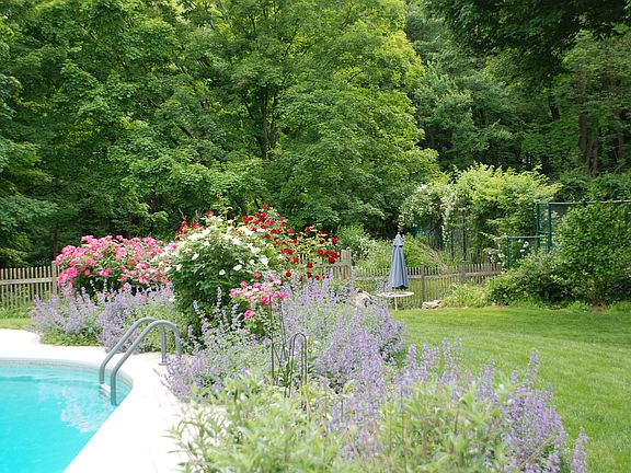 Great plantings with pool