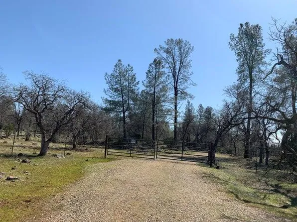 Buffalo, Anderson, CA 96007