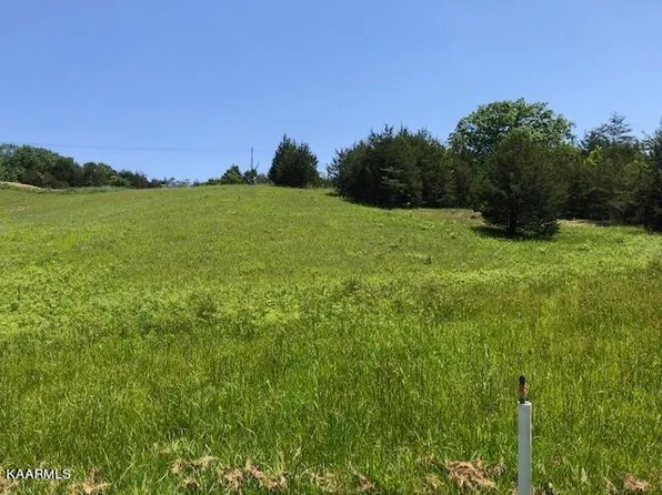 310 Southern Choice Trl, Thorn Hill, TN 37881