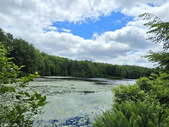 9 Deep Hollow Run, Muncy Valley, PA 17758