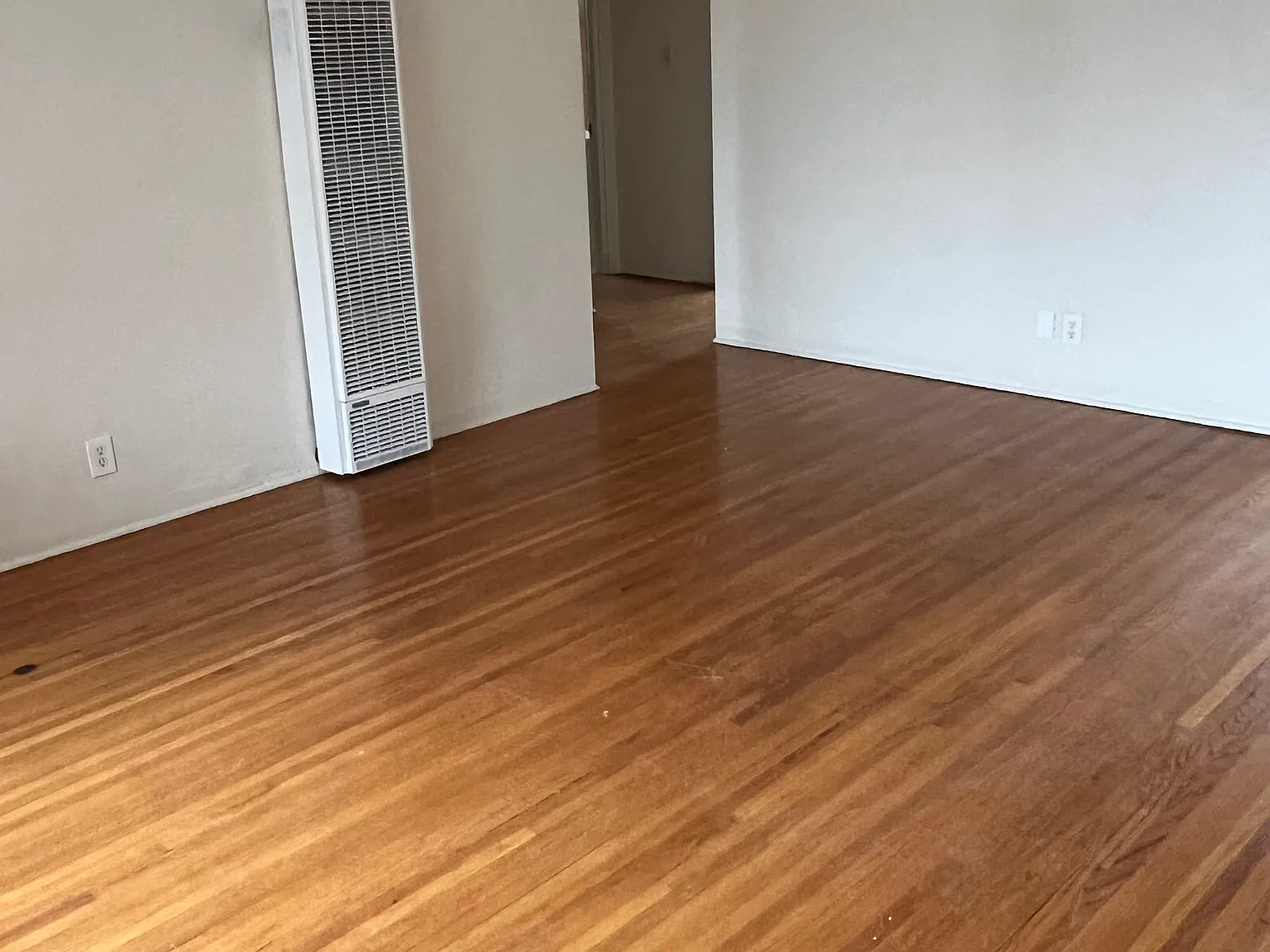 1 bed, 650 sqft, $1,000 — Photo 2