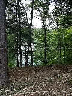 4th image of 55 Sipsey Overlook Rd