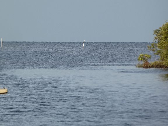 3rd image of 6727 Driftwood Dr
