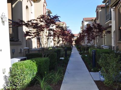 917 Luz Del Sol Loop, Milpitas, CA, 95035