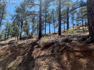 15421 Westcreek Rd, Woodland Park, CO 80863