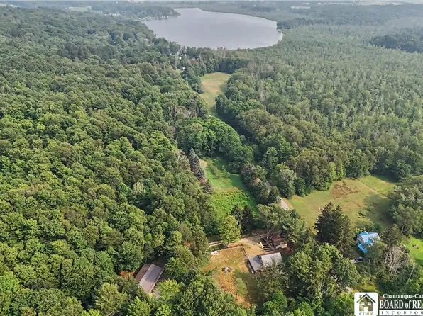 8202 Bear Lake Rd, Stockton, NY 14784