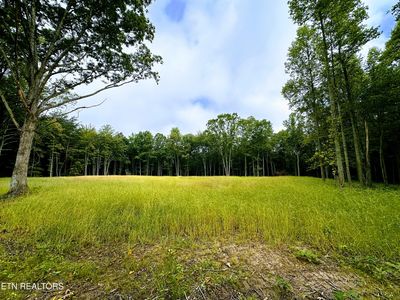 Mose Beaty Rd, Jamestown, TN, 38556