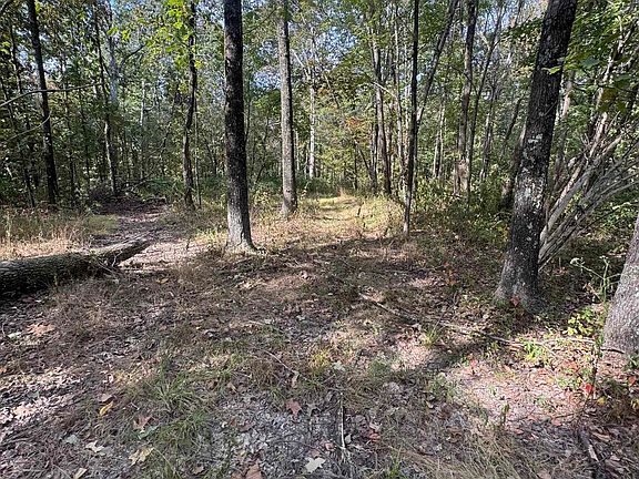 4th image of 0 N Decker Rd