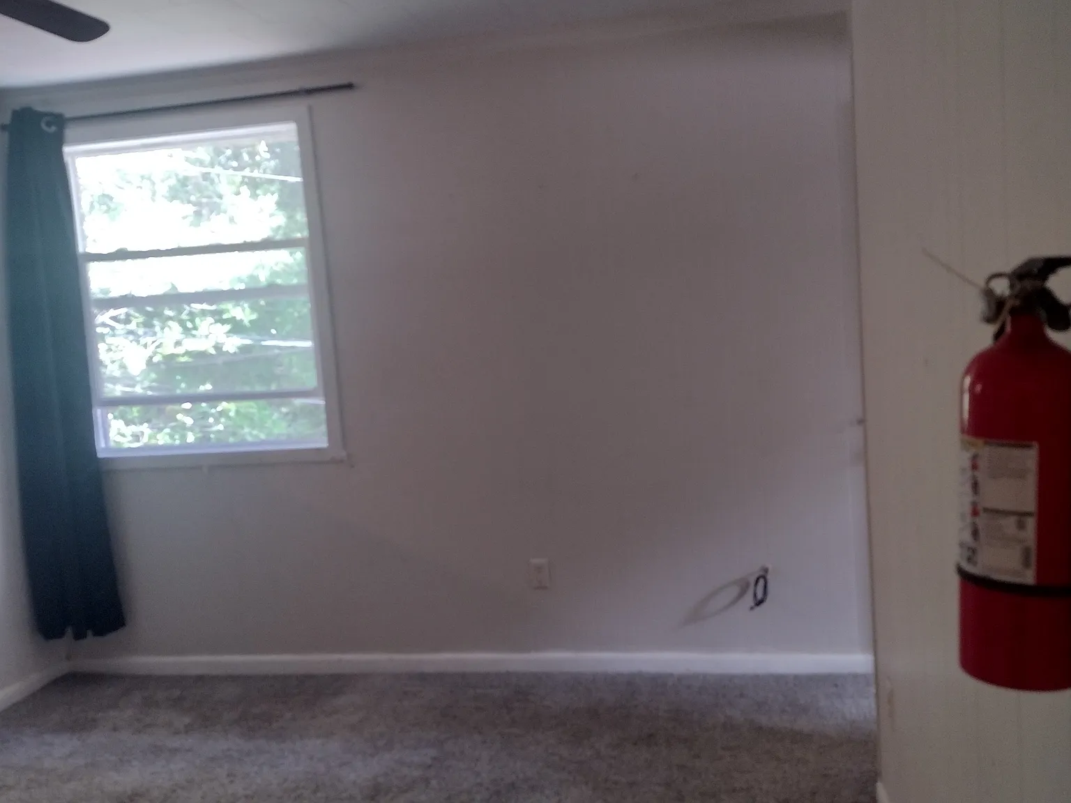 1 bed, $850 — Photo 4