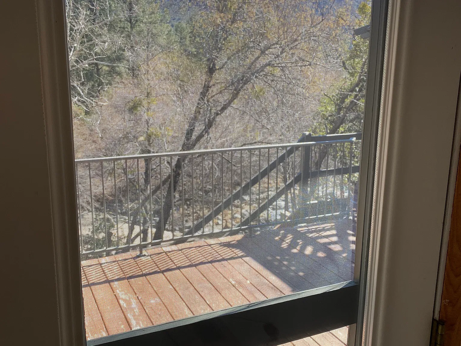 2 bed, 1050 sqft, $2,300 — Photo 4