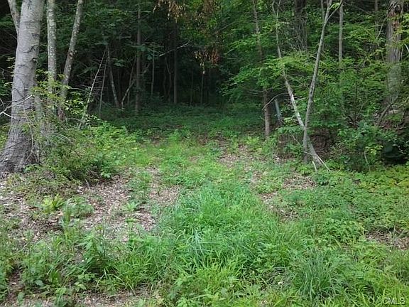 5th image of 21 Harwood Dr