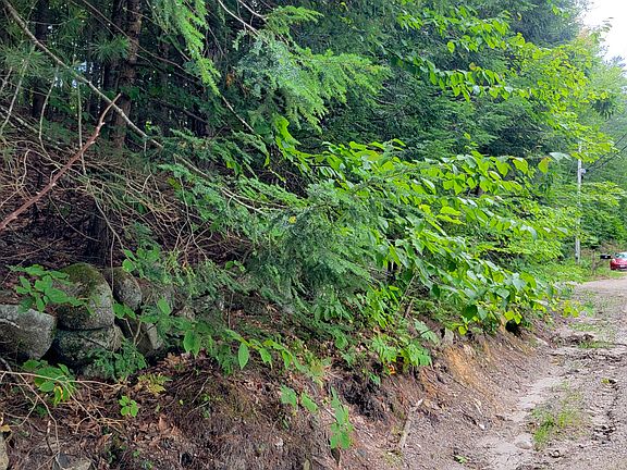 4th image of R9 32-9 Hiram Hill Road