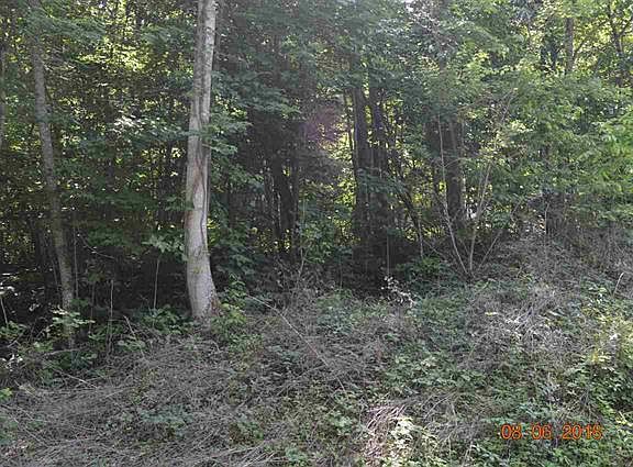 3rd image of Laurel Lake Cir