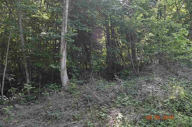 2nd image of Laurel Lake Cir