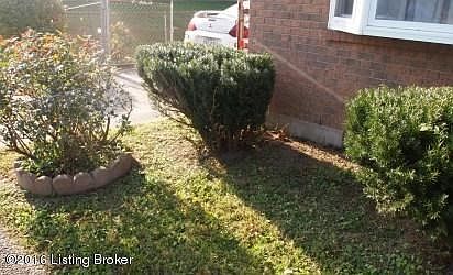 Front Landscaping