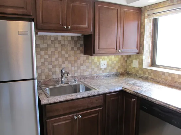 1508 N Harlem Ave APT 1E, River Forest, IL 60305