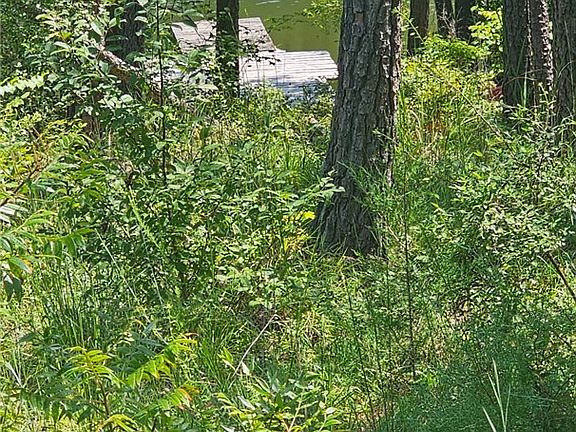 2nd image of 1702 Goings Rd