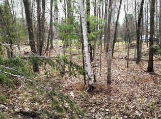 LOT 43 Pineway Dr, Gladwin, MI 48624
