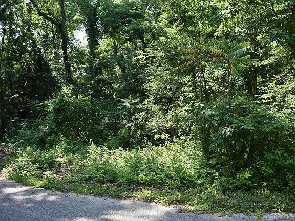 Image 3: DSC_0003