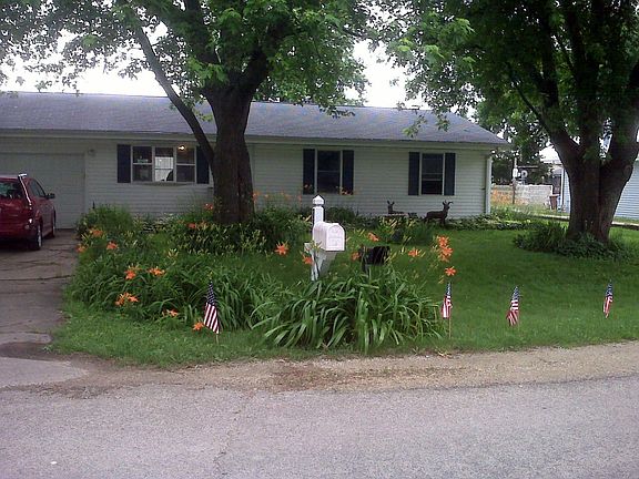Day Lilies in the front yard
