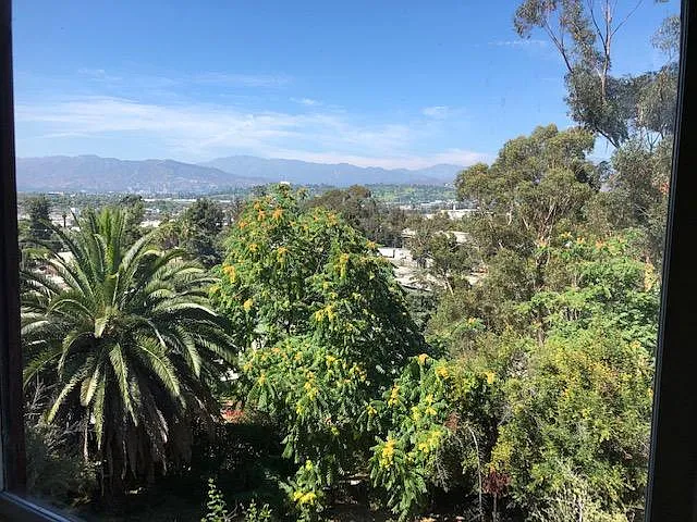 Sun Room view