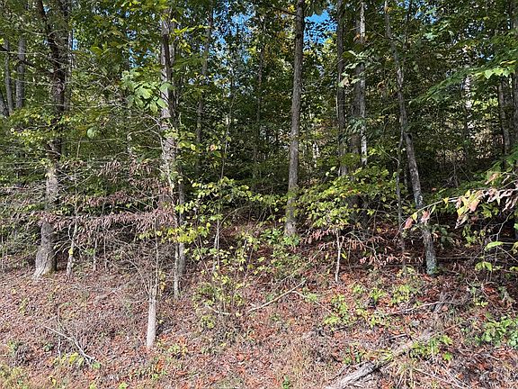 5th image of 0 Indian Creek Rd