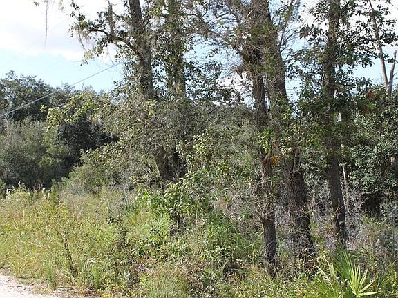 3rd image of 0 Deer Run Dr