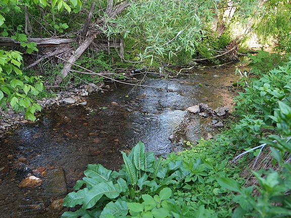 6th image of 470 Pleasant Valley Rd