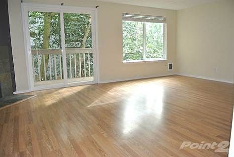 Natural Light in Living Room