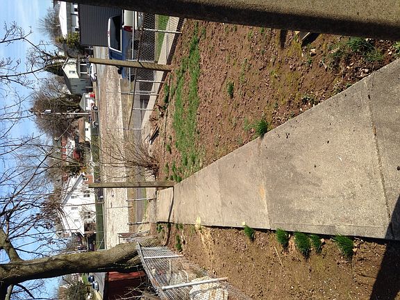 Back yard and off street parking