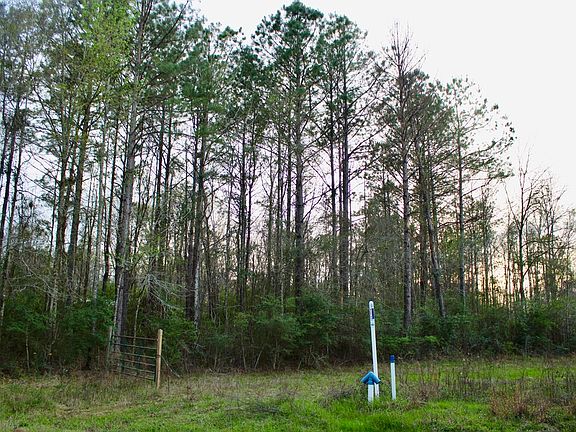 3rd image of Highway 583 Lot Wp001