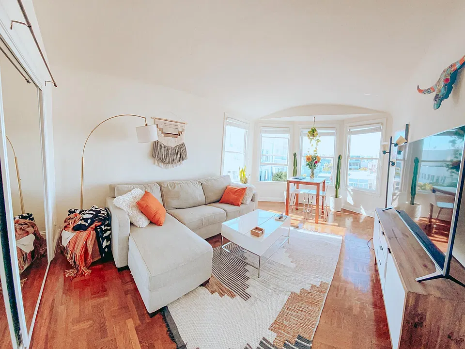 Larger Bedroom / Living Room (with Double Door 12ft Closet)
